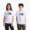 Children's T-shirt The North Face Evolution Half Dome SS Tee tnf white
