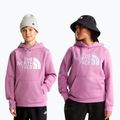 Children's sweatshirt The Noryh Face Essential Drew Peak Hoodie hushed lavender 3
