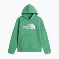 Children's sweatshirt The Noryh Face Essential Drew Peak Hoodie dimmed algae