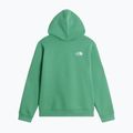 Children's sweatshirt The Noryh Face Essential Drew Peak Hoodie dimmed algae 2
