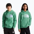 Children's sweatshirt The Noryh Face Essential Drew Peak Hoodie dimmed algae 3