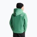 Children's sweatshirt The Noryh Face Essential Drew Peak Hoodie dimmed algae 5