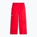Children's ski trousers The North Face Freedom Insulated elevation red 4