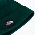 Winter hat The North Face Dock Worker Recycled Beanie hunter green 2