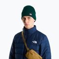 Winter hat The North Face Dock Worker Recycled Beanie hunter green 3