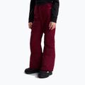 Children's ski trousers The North Face Freedom Insulated burgundy crush