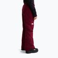 Children's ski trousers The North Face Freedom Insulated burgundy crush 3