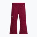 Children's ski trousers The North Face Freedom Insulated burgundy crush 4