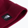 Winter hat The North Face Dock Worker Recycled Beanie burgundy crush 2