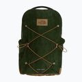 Urban backpack The North Face Jester Pro 28 l bottle green/leather bro