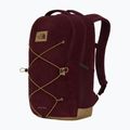 Urban backpack The North Face Jester Pro 28 l deep burgundy/leather bro 2