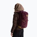 Urban backpack The North Face Jester Pro 28 l deep burgundy/leather bro 6