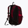Urban backpack The North Face Hot Shot Se 30 l burgundy crush/lali gur 3