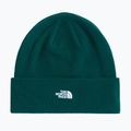 Winter hat The North Face Norm Beanie hunter green