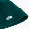 Winter hat The North Face Norm Beanie hunter green 2