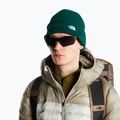 Winter hat The North Face Norm Beanie hunter green 3