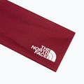 Headband The North Face Base burgundy crush 3