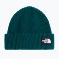 Winter hat The North Face Salty Lined pacific teal