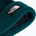 Winter hat The North Face Salty Lined pacific teal 2