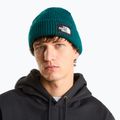 Winter hat The North Face Salty Lined pacific teal 3