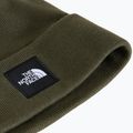 Winter hat The North Face Dock Worker Recycled Beanie new taupe green 2