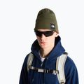 Winter hat The North Face Dock Worker Recycled Beanie new taupe green 3