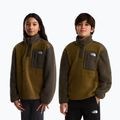 Children's fleece sweatshirt The North Face Yumiori 1/4 Zip caraway seed/ne 3