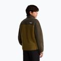 Children's fleece sweatshirt The North Face Yumiori 1/4 Zip caraway seed/ne 5