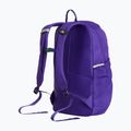 Urban backpack The North Face Court Jester elevation purple 3