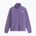 Men's fleece sweatshirt The North Face Glacier Fleece grounded plum 5