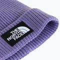 Winter hat The North Face Logo Box Cuffed grounded plum 2