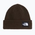 Winter hat The North Face Salty Lined dark chestnut