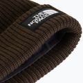 Winter hat The North Face Salty Lined dark chestnut 2