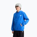 Children's sweatshirt The North Face Evolution Box NSE Pullover Hoodies active blue 5