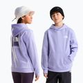 Children's sweatshirt The North Face Evolution Box NSE Pullover Hoodies pale plum