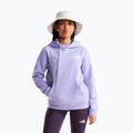 Children's sweatshirt The North Face Evolution Box NSE Pullover Hoodies pale plum 2