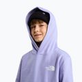 Children's sweatshirt The North Face Evolution Box NSE Pullover Hoodies pale plum 6