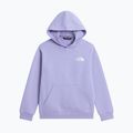 Children's sweatshirt The North Face Evolution Box NSE Pullover Hoodies pale plum 7