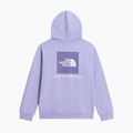 Children's sweatshirt The North Face Evolution Box NSE Pullover Hoodies pale plum 8