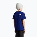 Children's T-shirt The North Face Evolution Half Dome SS Tee bold blue 5