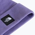 Winter hat The North Face Dock Worker Recycled Beanie grounded plum 2