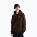 Men's sweatshirt The North Face Evolution Simple Dome Regular Hoodie dark chestnut