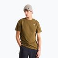 Men's T-shirt The North Face Evolution Simple Dome Regular SS caraway seed
