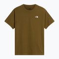 Men's T-shirt The North Face Evolution Simple Dome Regular SS caraway seed 4