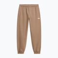 Women's trousers The North Face Evolution Simple Dome Regular garnet 4