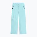 Women's ski trousers The North Face Descendit Regular glacier
