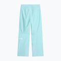 Women's ski trousers The North Face Descendit Regular glacier 2