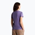Women's T-shirt The North Face Evolution Simple Dome Slim SS grounded plum 3