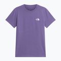 Women's T-shirt The North Face Evolution Simple Dome Slim SS grounded plum 4