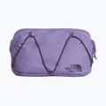 Waist bag The North Face Terra Lumbar 1 l grounded plum/endless